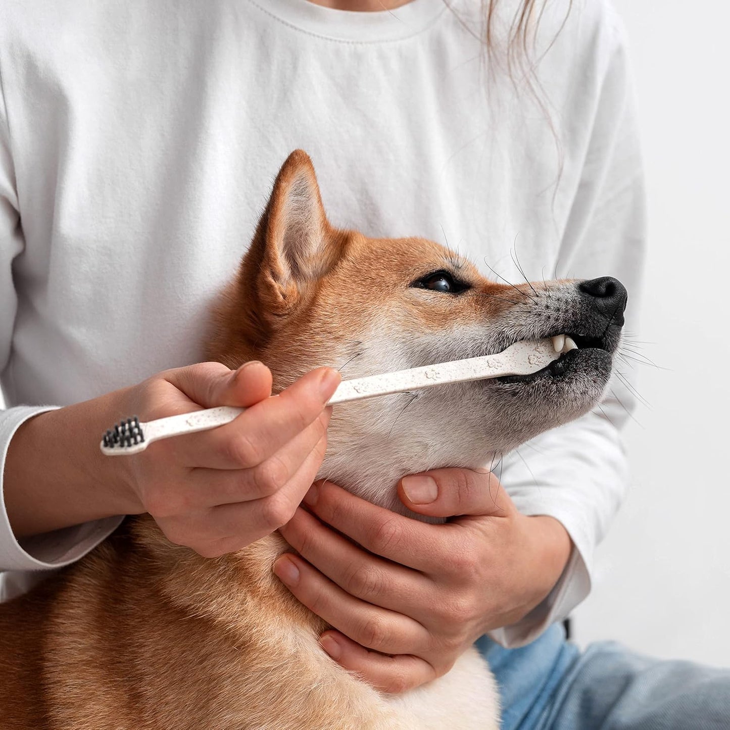 Eco Friendly Pet Toothbrushes, Individually Wrapped, Recyclable Packaging