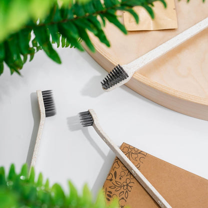 Eco Friendly Pet Toothbrushes, Individually Wrapped, Recyclable Packaging